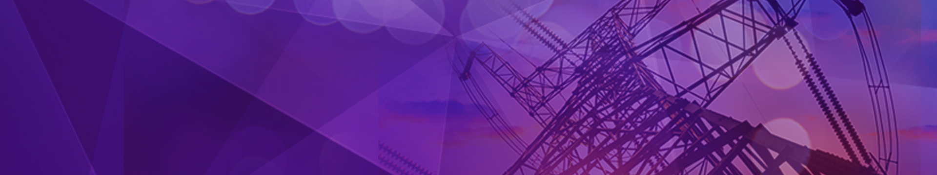 National Electrical Safety Code® (NESC®) Workshop: Changes for the Future Banner Image