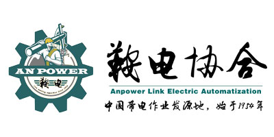 Anpower Link Electric Automatization Co.,Ltd. Logo