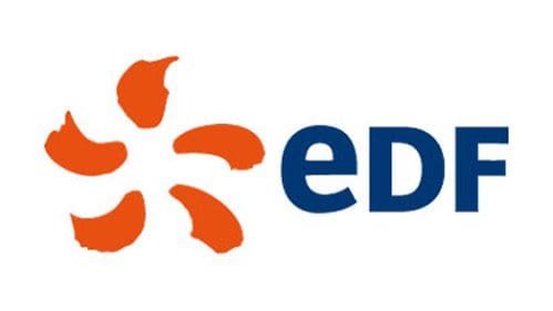 EDF (China) Holding Ltd. Logo