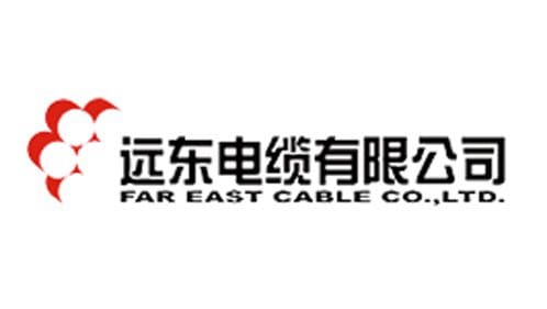 Far East Smarter Energy Co., Ltd. Logo