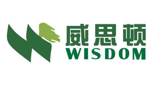 Yantai Dongfang Wisdom Electric Co., Ltd. Logo