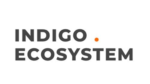 INDIGO ECOSYSTEM Logo