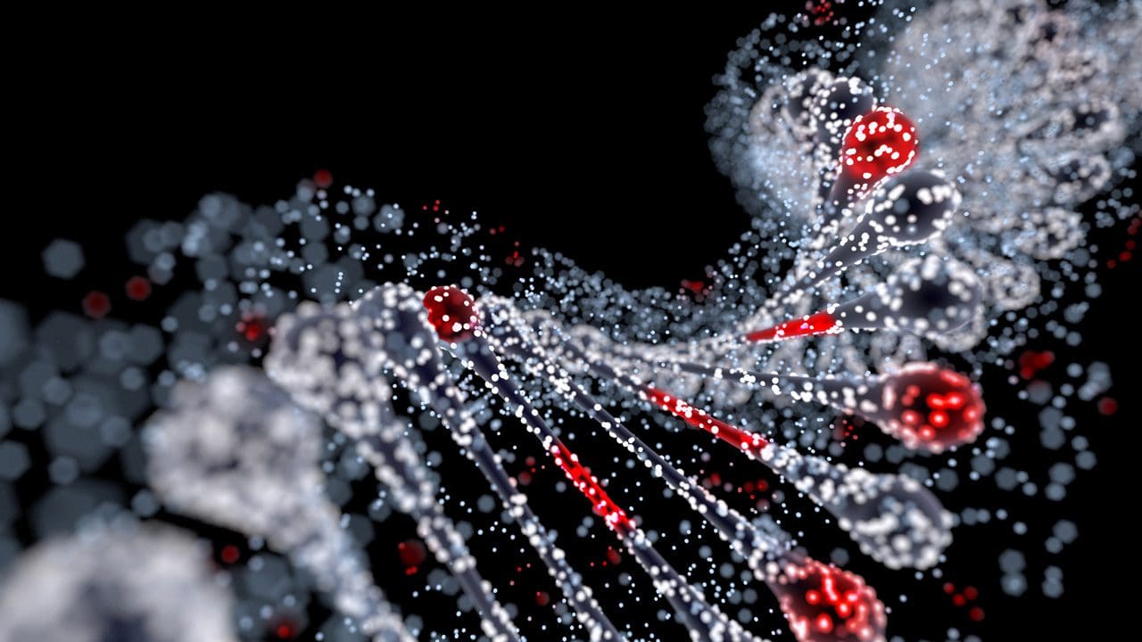 DNA particles