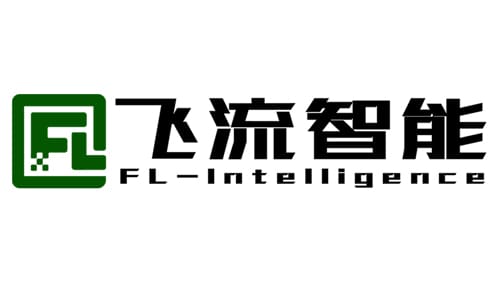 Wuhan Feiliu Intelligent Technology Co., Ltd Logo