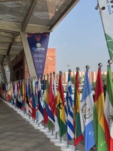 Flags of many nations in a line below a banner of the ITU WTSA conference.